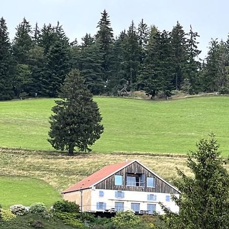 Maison D'Hotes Des Hauts De La Piquante Pierre Basse-sur-le-Rupt Extérieur photo