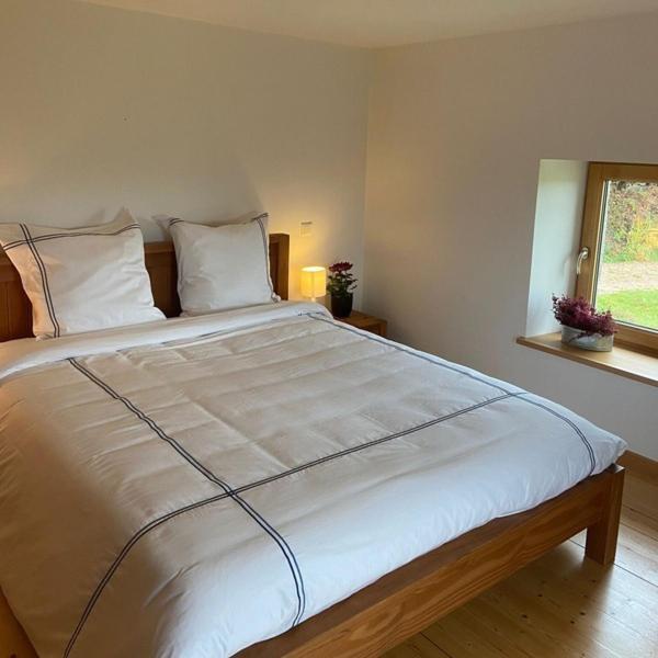 Maison D'Hotes Des Hauts De La Piquante Pierre Basse-sur-le-Rupt Extérieur photo