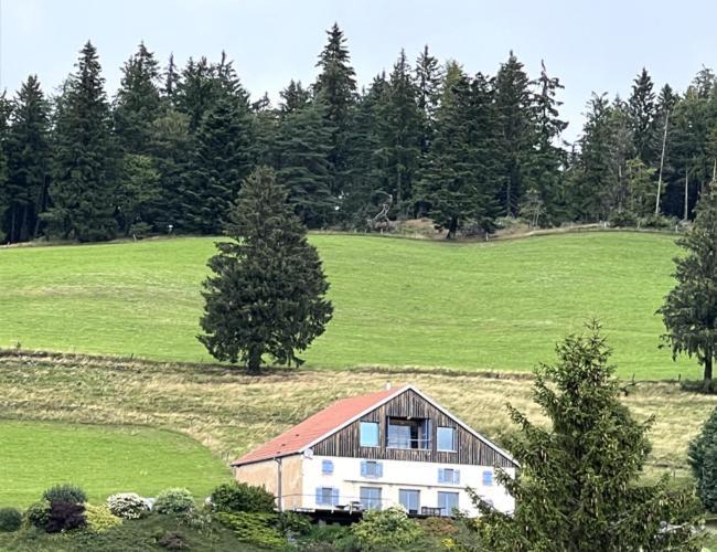 Maison D'Hotes Des Hauts De La Piquante Pierre Basse-sur-le-Rupt Extérieur photo